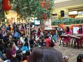 1.28.2012 Hai Hua Community Center Chinese New Year Carnival at Fair Oaks Mall, Virginia (1)